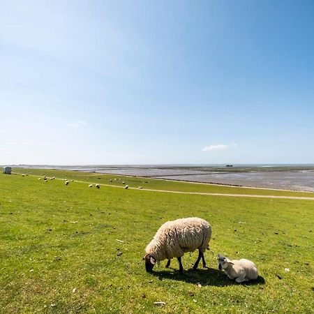 Hotel, Restaurant, Cafe Pharisaeerhof - Nordseeurlaub Mit Hund Nordstrand Luaran gambar