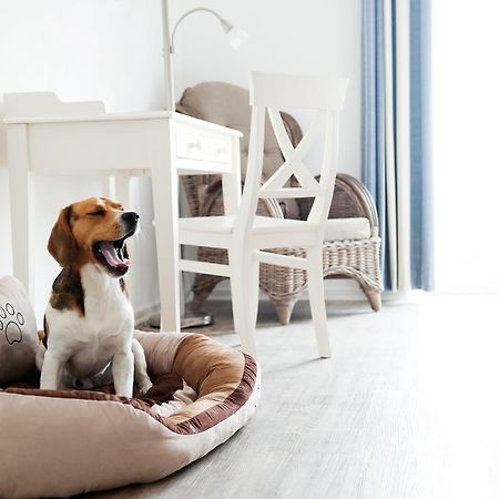 Hotel, Restaurant, Cafe Pharisaeerhof - Nordseeurlaub Mit Hund Nordstrand Luaran gambar