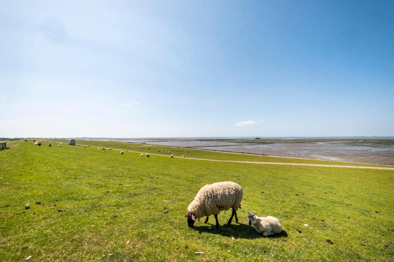 Hotel, Restaurant, Cafe Pharisaeerhof - Nordseeurlaub Mit Hund Nordstrand Luaran gambar