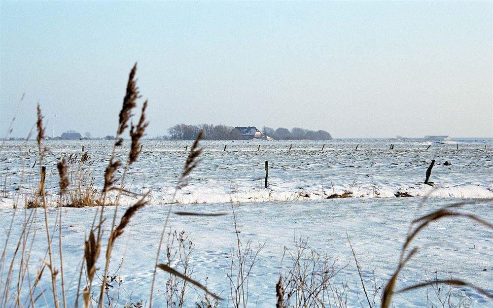 Hotel, Restaurant, Cafe Pharisaeerhof - Nordseeurlaub Mit Hund Nordstrand Luaran gambar