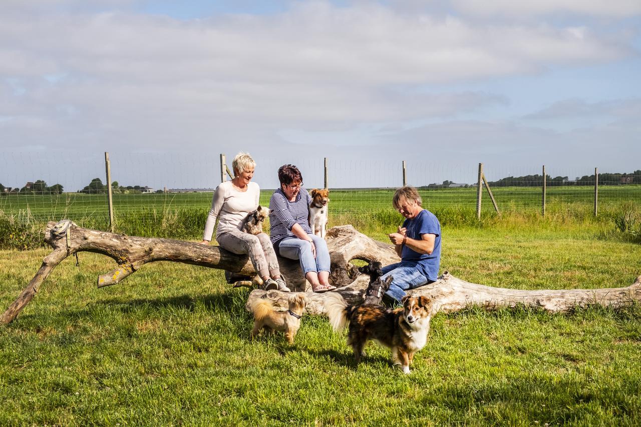 Hotel, Restaurant, Cafe Pharisaeerhof - Nordseeurlaub Mit Hund Nordstrand Luaran gambar